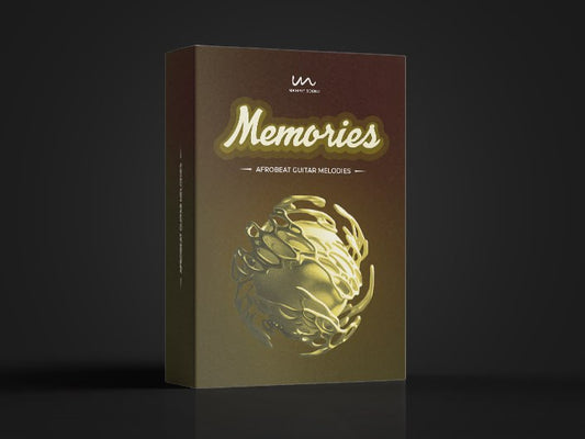 MEMORIES - GUITAR MELODIES